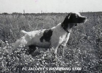 FC JACOLET'S WANDERING STAR